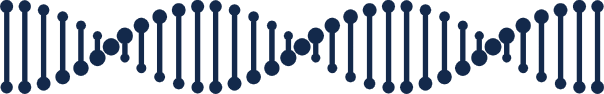 DNA divider