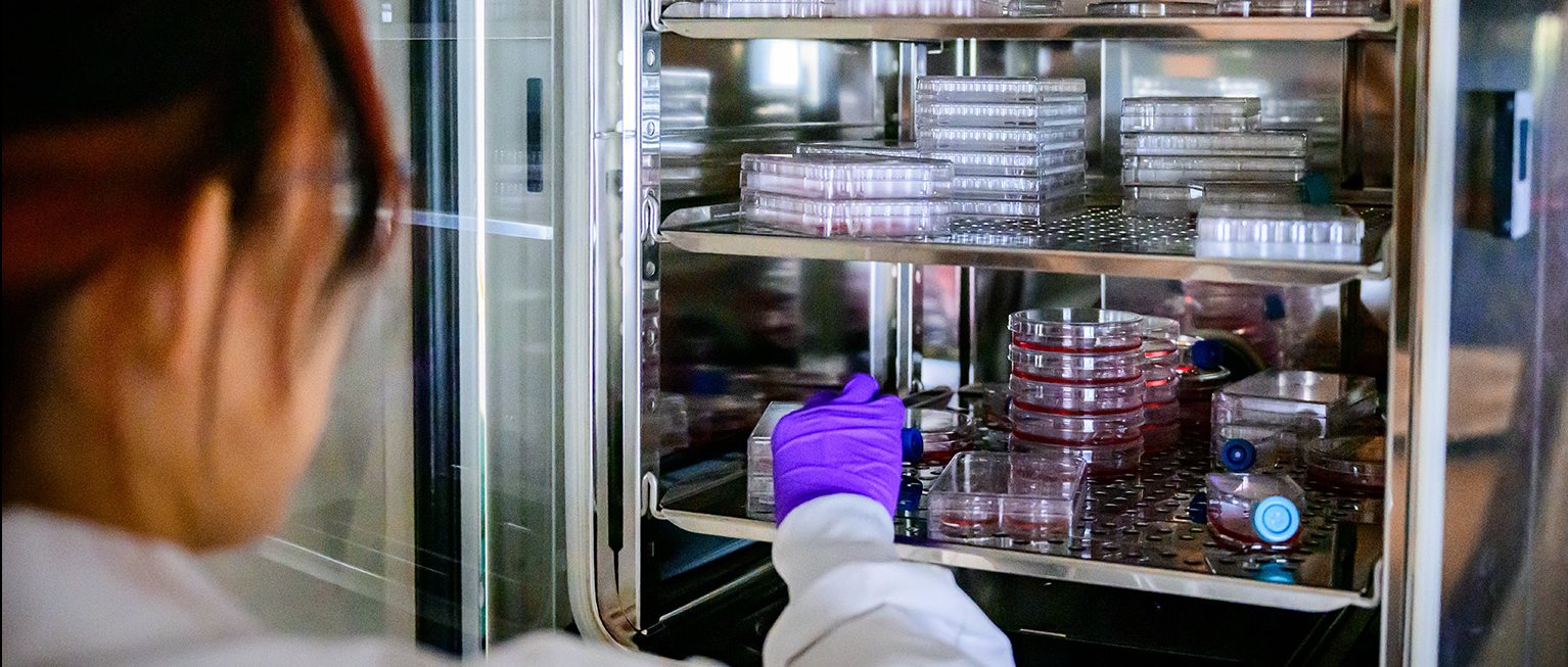 Working in a lab, a researcher places materials into a storage unit.