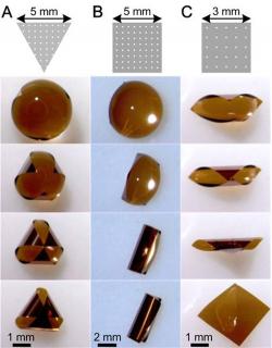 Spontaneously folding of (A) triangular and (B, C) square silicon sheets (1.25 &amp;frac14;m thick) with a water droplet.