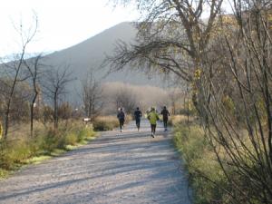 Runners make their way along the course during the race Ingeniero &amp;amp; Bravo (Engineer and Brave), an eight-mile run to the top of the Canales Dam.