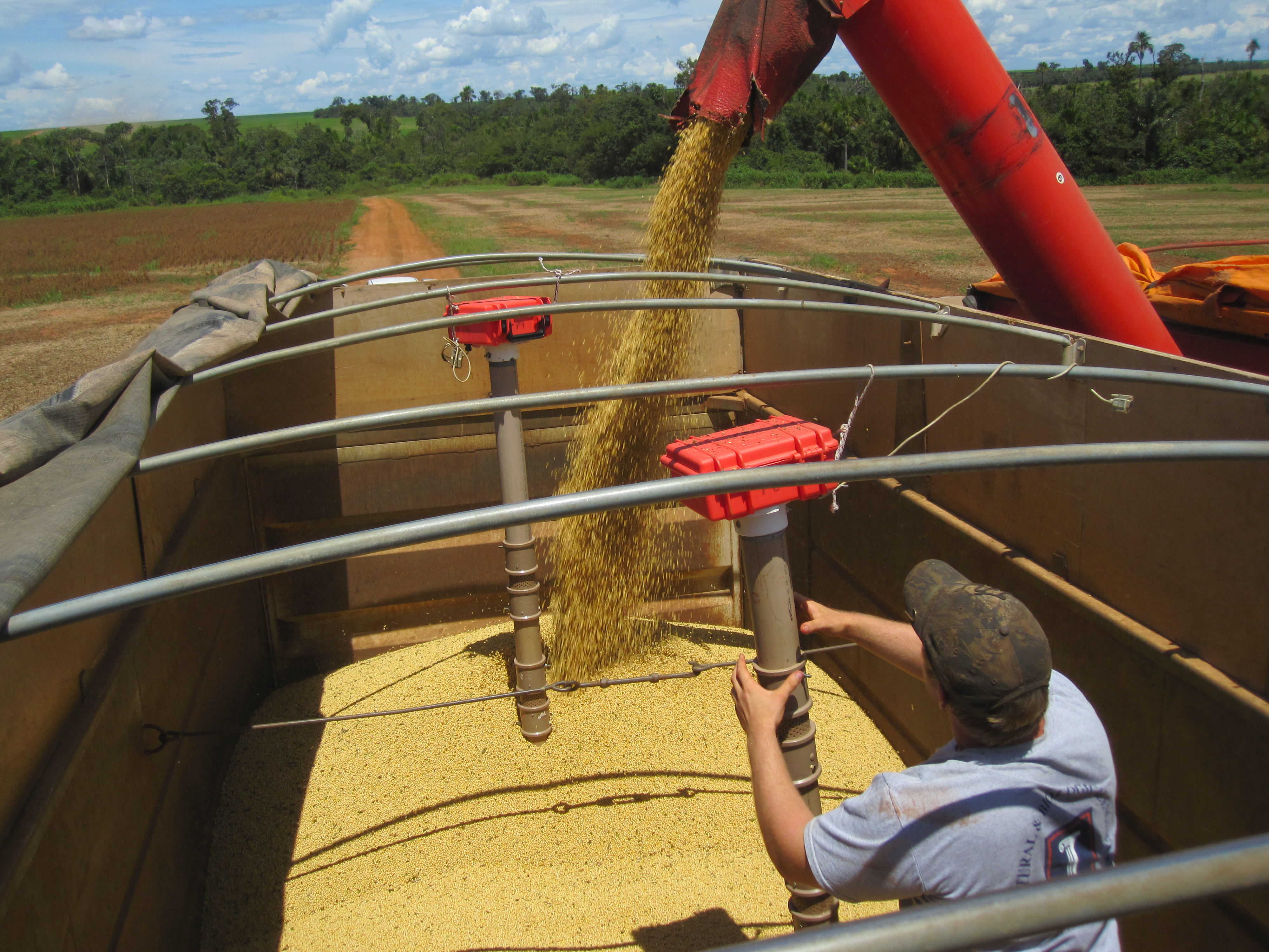 Graduate student Chris Wilhelmi positions one of the monitoring probes as grain is being loaded into a truck.