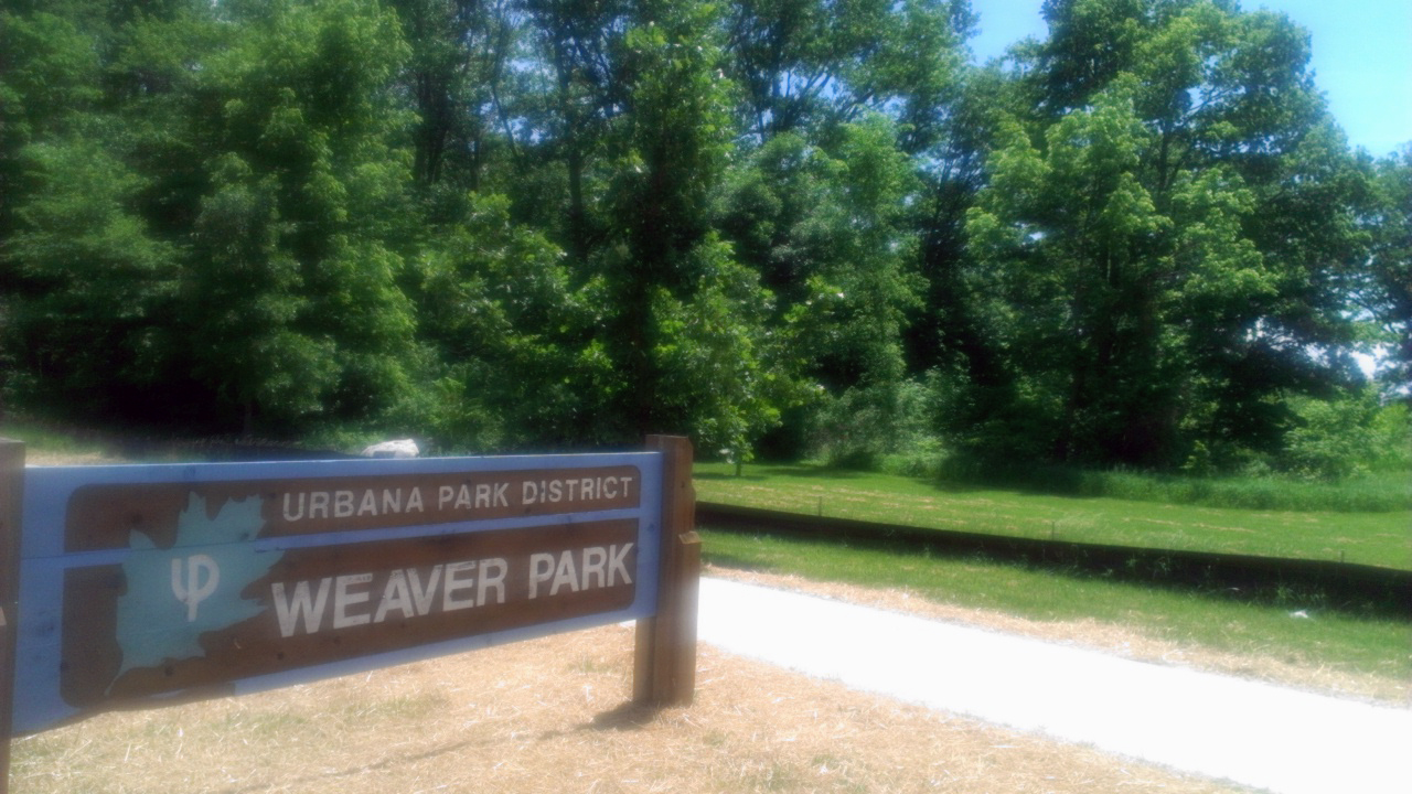 The results of the study will help cities make smart decisions regarding green space, which might include a stormwater wetland, like the one at Urbana's Weaver Park.