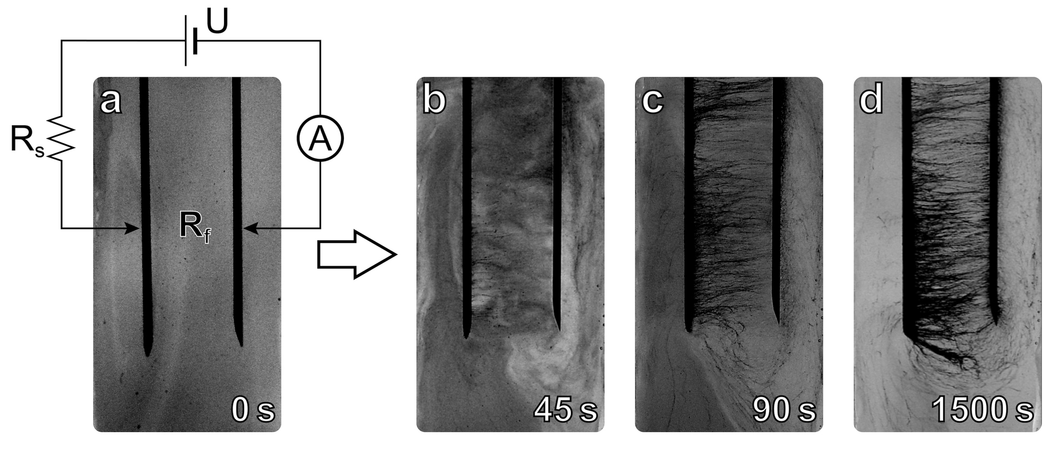 Consecutive snapshots of the sample illustrating the formation of nanotube chains. The distance between electrodes is 1 cm, applied voltage is 400 V, and the series resistor is 100 MOhm. Panel (a) demonstrates the photograph of the ER fluid before the voltage is applied and the schematic of the experimental setup. The following photographs are taken after 45, 90, and 1500 seconds of interaction with the electric field. Originally printed in Scientific Reports, 5, article number 8323, doi 10.1038/srep08323. Reprinted with the permission of the authors.