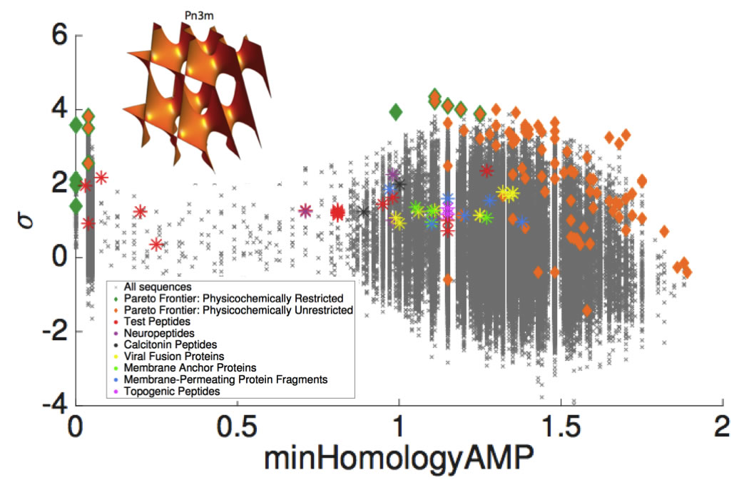 In this image the grey crosses are peptides scanned projected into a 2D plane spanned by the sequence distance to a known antimicrobial peptide (x-axis) and prediction confidence of the classifier that the peptide is membrane active (y-axis). Membrane activity was detected in diverse classes of peptides including neuropeptides, topogenic peptides, and viral fusion proteins. Membrane activity is mediated through the induction if negative Guassian curvature in the membrane (inset).