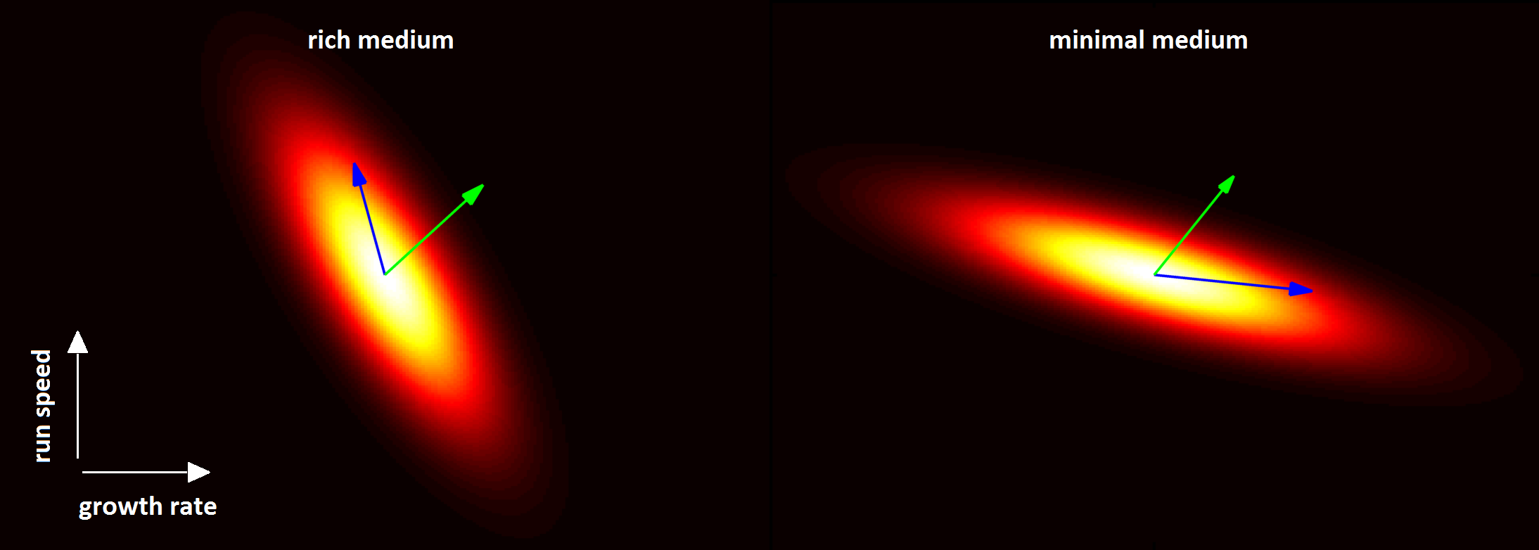 A 3-D graph depicting evolutionary trajectories constrained by a phenotypic trade-off. Image by David T. Fraebel, U. of I. Department of Physics and Center for the Physics of Living Cells.