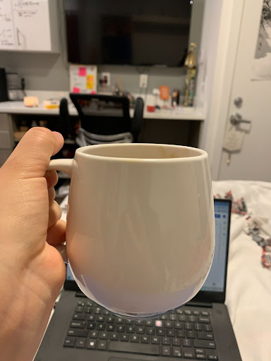 A perfect start to the day.