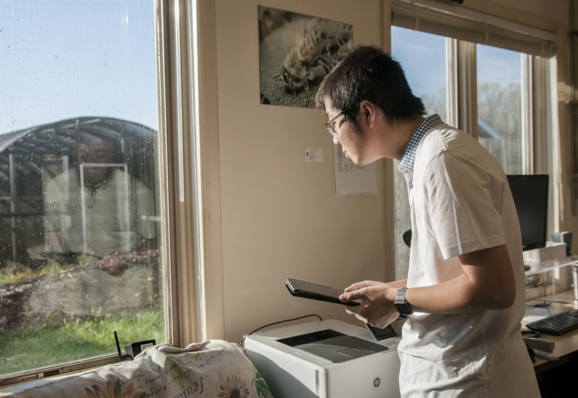 He checks the data from his customized router as he places it near the window inside the Bee Research Facility.