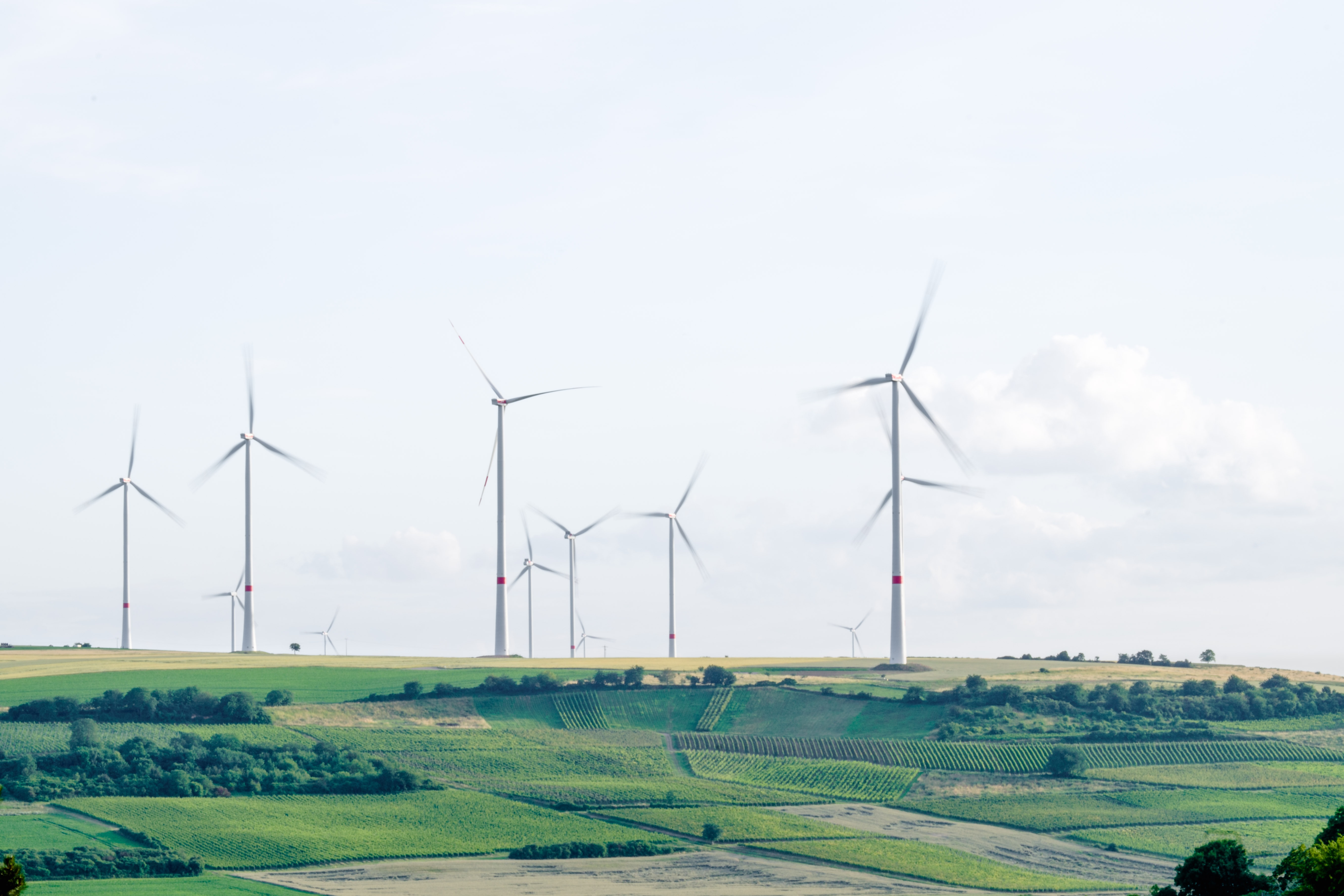 wind turbines in fields