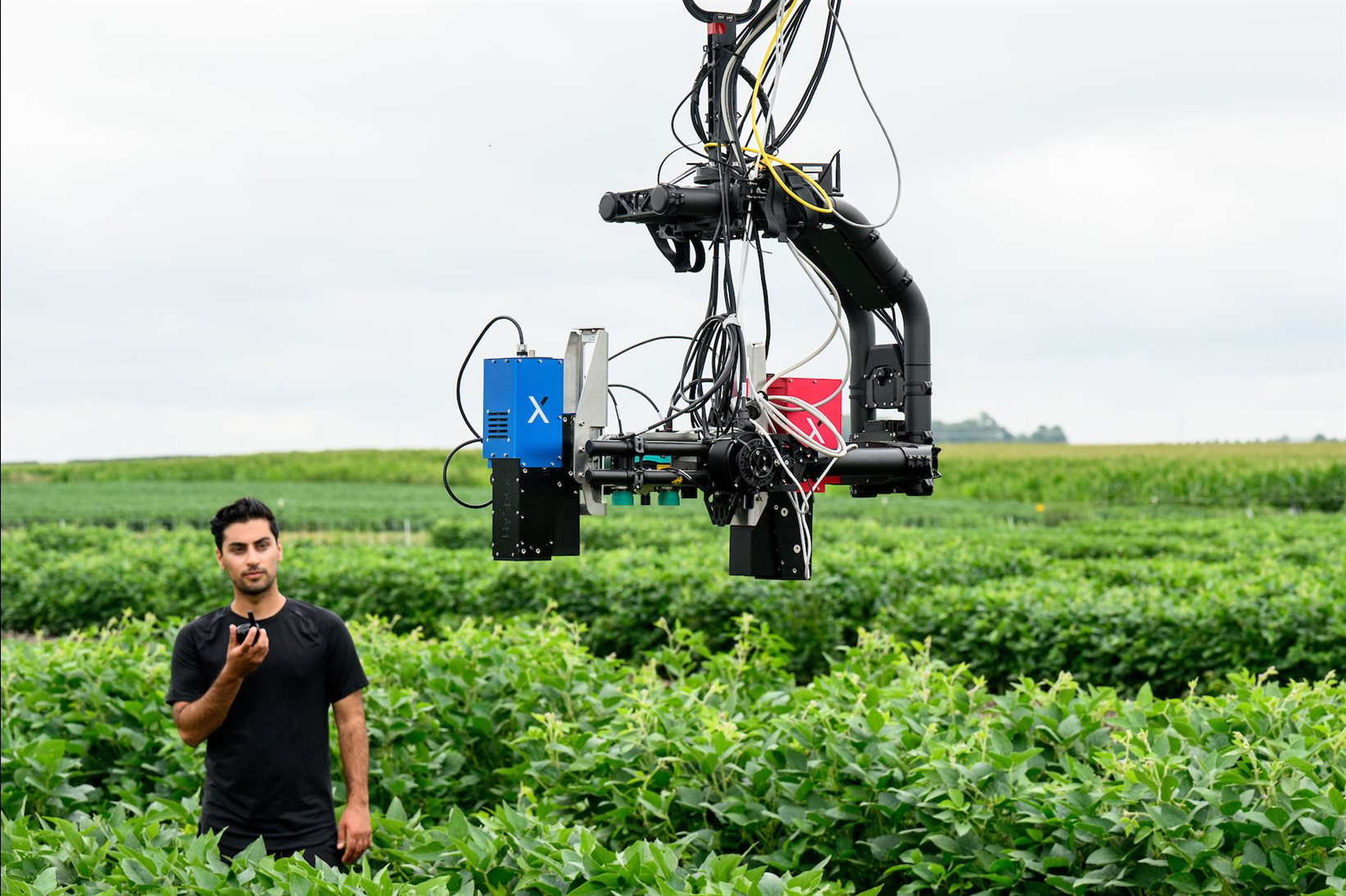 The Spidercam system at the Energy Farm at the University of Illinois Urbana-Champaign hovers above a field of crops.