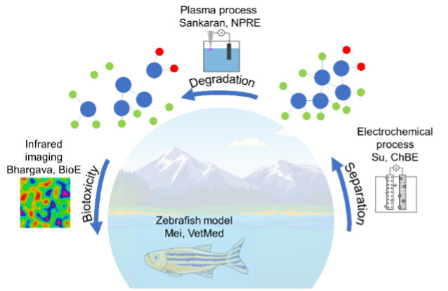 Holistic lifecycle management process image